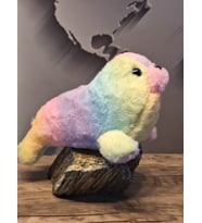 ÇOK RENKLİ FOK 30CM