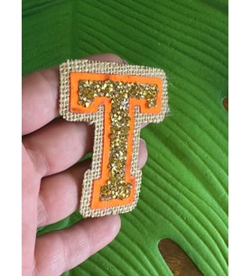 7X6 CM ÜTÜ İLE YAPIŞAN NEON TAŞLI T HARFİ ARMA