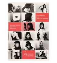 Anna Karina / Godard - Le Petit Soldat - Vintage French Tablo Ahşap Poster Dekoratif