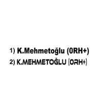 Motor ve Araç İçin Olmazsa Olmaz Seçenekli Kan Grubu Sticker
