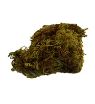 LokmanAVM Yosun Su Yosunu Doğal 100 Gr Paket