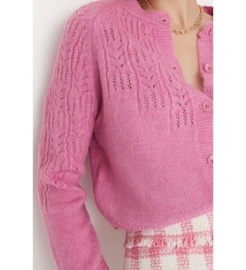 Kadın Modern Tarz Regular Bisiklet Yaka Crop Triko Hırka (Pembe)