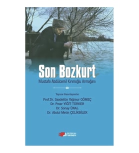 Son Bozkurt