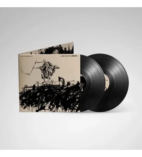 Avenged Sevenfold Life Is But A Dream Double LP Plak