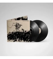 Avenged Sevenfold Life Is But A Dream Double LP Plak