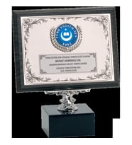ODAK KUPA - Ahşap Plaketler - PL-068 A - 18x24 cm