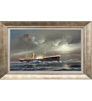 GÜMÜŞ ÇERÇEVELİ TABLO N569