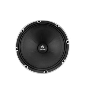 Reiss Audio RS M8DF 20 Cm Midrange 450W Maksimum 200W RMS (Siyah)