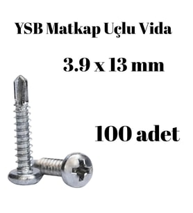Yıldız Silindir Başlı 3.9x13 YSB Matkap Uçlu Akıllı Vida 100 Adet
