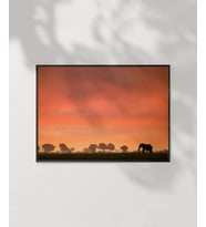 Afrika Gün Batımı Poster (Çok Renkli)
