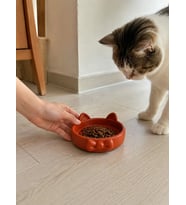 Papyon Model Beton Kedi Köpek Mama ve Su Kabı 16 cm çap - Kiremit