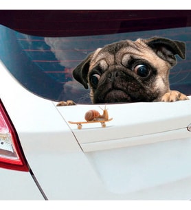 Salyangoza Bakan Pug Cinsi Köpek Araba Sticker 20CM
