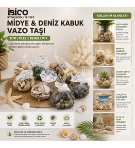 20 ADET FİLELİ RENKLİ MİX EKO MİDYE - DENİZ KABUK VAZO TAŞI (5343)