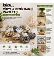 20 ADET FİLELİ RENKLİ MİX EKO MİDYE - DENİZ KABUK VAZO TAŞI (5343)