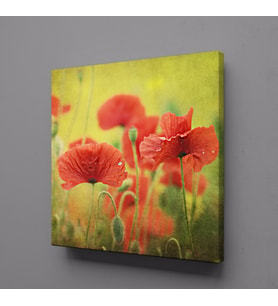 KIRMIZI ÇİÇEKLER KANVAS TABLO 70x70cm (Karışık)