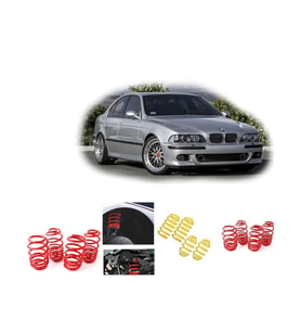 BMW E39 1998-2003 UYUMLU  5.SERİ APEXİ 3.5 CM SPOR HELEZON YAY