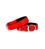 Doggie Comfort Köpek Boyun Tasma 3*55 cm Kırmızı