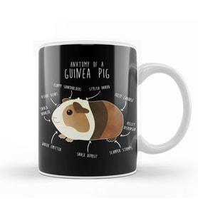 Anatomy Of A Guinea Pig Kupa Bardak Porselen