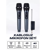Profesyonel Çiftli Kablosuz Mikrofon Seti Karaoke Şarj Edilebilir 50 Metre