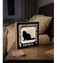 Kişiye Özel Kedi Figürlü Işıklı Dekoratif Gece Lambası