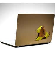 Aslan Minimal Laptop Sticker 15.4 inch (37X26CM)