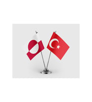 Grönland ve Türkiye Bayrağı İkili Saten Masa Bayrağı Takımı