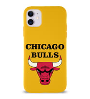 Apple iPhone 11 Uyumlu Lansman Kılıf Chicago Bulls Tasarımlı Altı Kapalı İçi Kadife Kaplı  Kapak (Şeffaf)