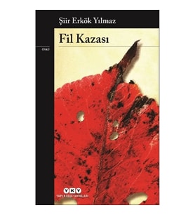 Fil Kazası