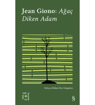 Ağaç Diken Adam - Açıkhava 17
