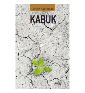 Kabuk