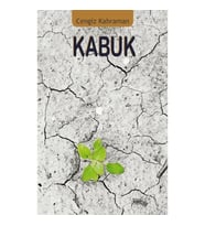 Kabuk
