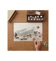 Kumsal Deniz Kabukları - Cam Şişe Tasarımı 240 parça Ahşap Puzzle Ahşap Kutuda MP03455