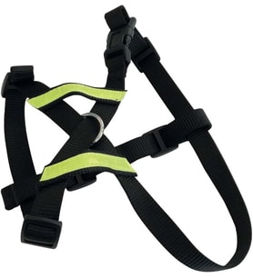 SECURA 2IN1 GÖĞÜS TASMASI (M)