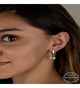 Swarovski Crystal Taşlı Gümüş Beyaz Kalp Sallantılı Kadın Küpe