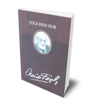 Çöle İnen Nur (Deri Ciltli)