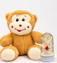 Sevimli Mutlu Peluş Maymun ve Led Işıklı Beyaz Melekli Fanus Hediye Seti