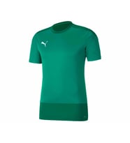 Puma Teamgoal 23 Training Jersey Erkek Futbol Formasi 65648205 Yeşil
