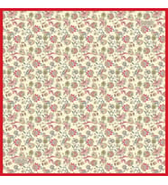 01 La Bouutiquie Güz Eşarp 2425