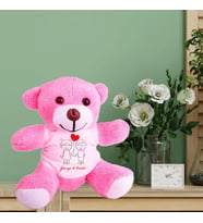 Kişiye Özel Peluş Pembe Ayı HK2540