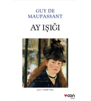 Ay ışığı