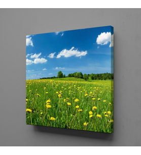 PAPATYA VE BULUTLAR KANVAS TABLO 140x140cm