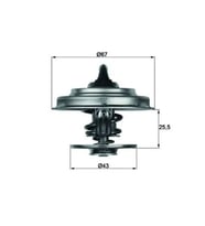 TERMOSTAT (71°) ACTROS ATEGO AXOR CITARO TOURINO T 0012033975