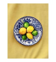 Limonlu Blue blanc Meyveli Duvar Tabağı Dekoratif Bahçe Balkon Mutfak Salon Duvar Süsü No:134