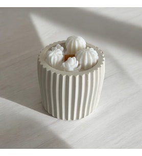 Beton Saksıda Sukulent Tasarımlı El Yapımı %100 Doğal Soya Wax Mum
