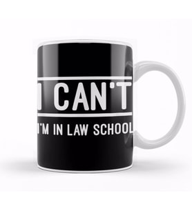 I Can T I M In Law School Law Future Lawyer Student Kupa Bardak Porselen