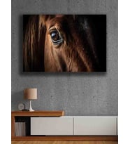 Koç stüdyo Modern tasarım kanvas tablo 50x70 (Çok Renkli)