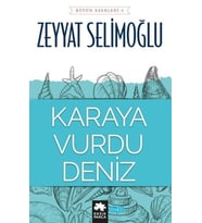 Karaya Vurdu Deniz