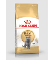 Royal Canin British Shorthair Adult Yetişkin Kedi Maması 2 Kg (Standart)