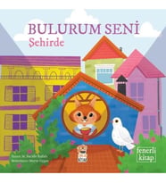 Bulurum Seni Şehirde (Fenerli Kitap)