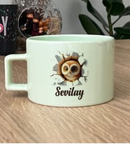 Kişiye Özel 3D Efektli Baykuş Hediye Pastel Fincan İsimli İsim Yazılı (Yeşil)
